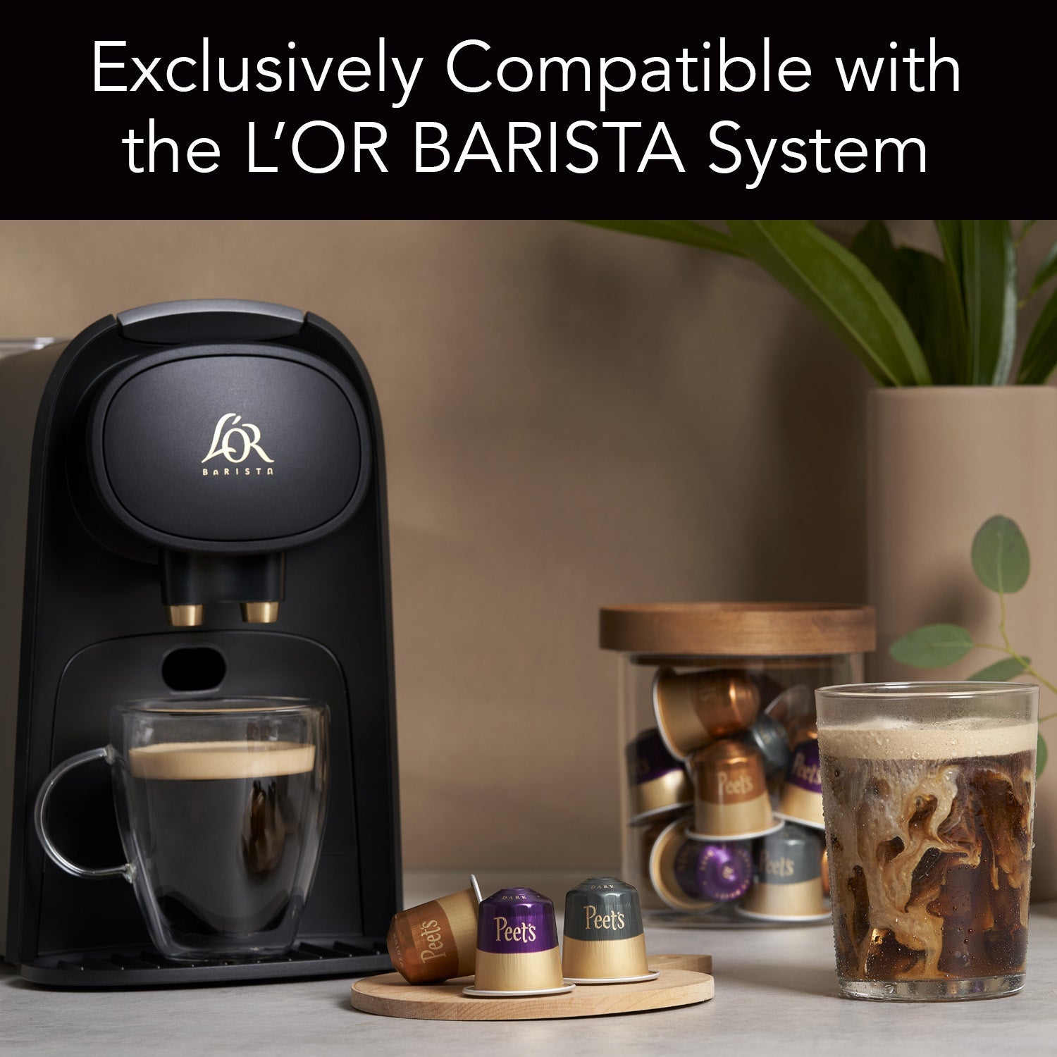 Peet's Coffee Capsules Sampler - Image 6