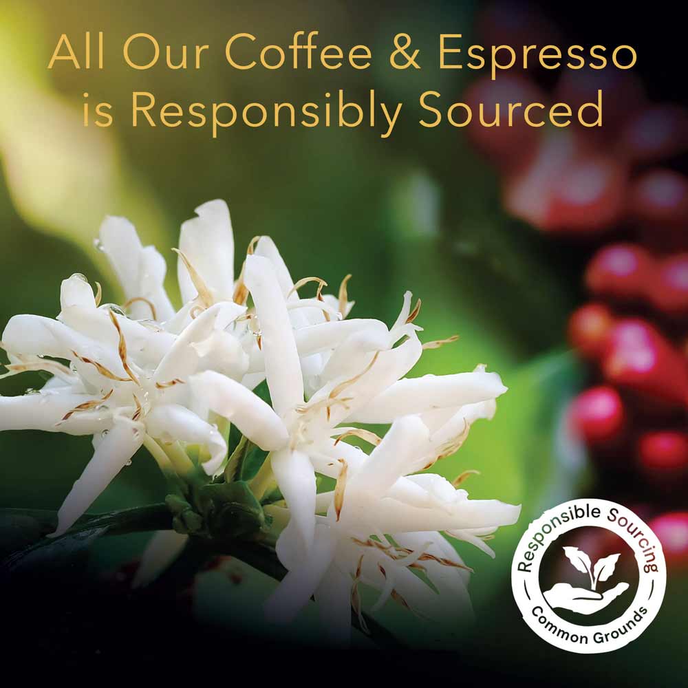 L'OR Caramel Espresso Capsules - Image 5